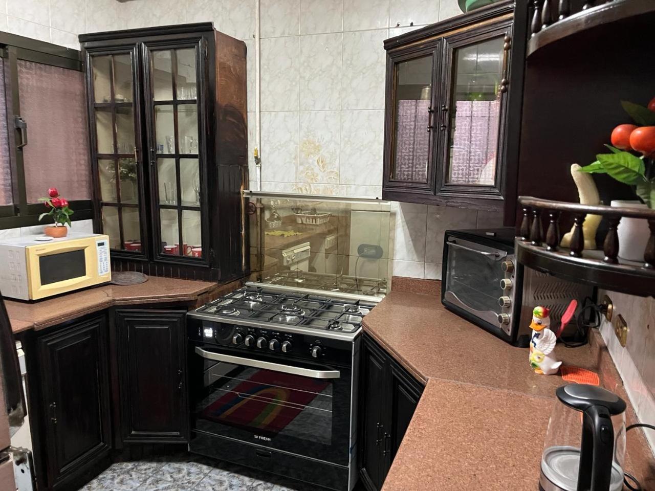 Nile View - Fully Furnished Cairo